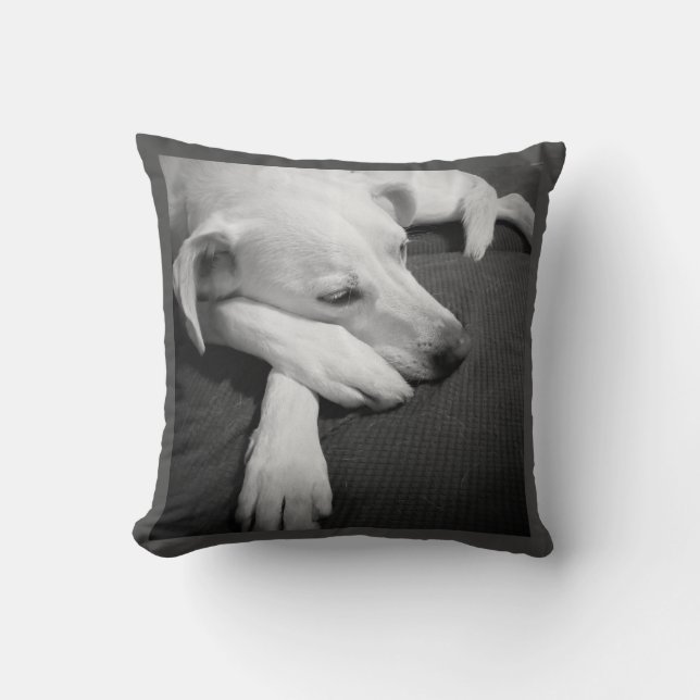 Svart och vitt foto av en vacker Hund Kudde (Framsida)