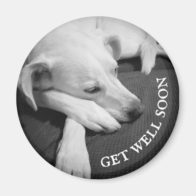 Svart och vitt foto av en vacker Hund Magnet (Framsidan)