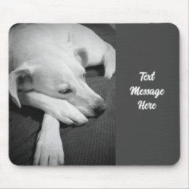 Svart och vitt foto av en vacker Hund Musmatta