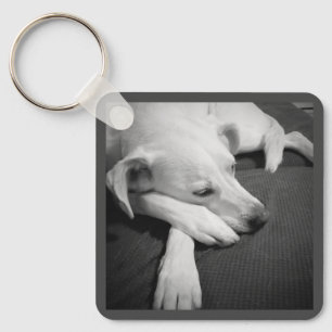 Svart och vitt foto av en vacker Hund Nyckelring