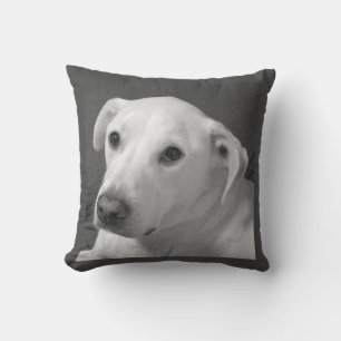 Svart och vitt foto av en vacker, själlös Hund Kudde