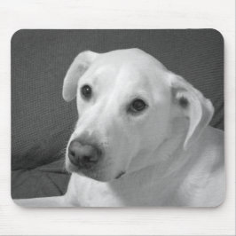 Svart och vitt foto av en vacker, själlös Hund Musmatta