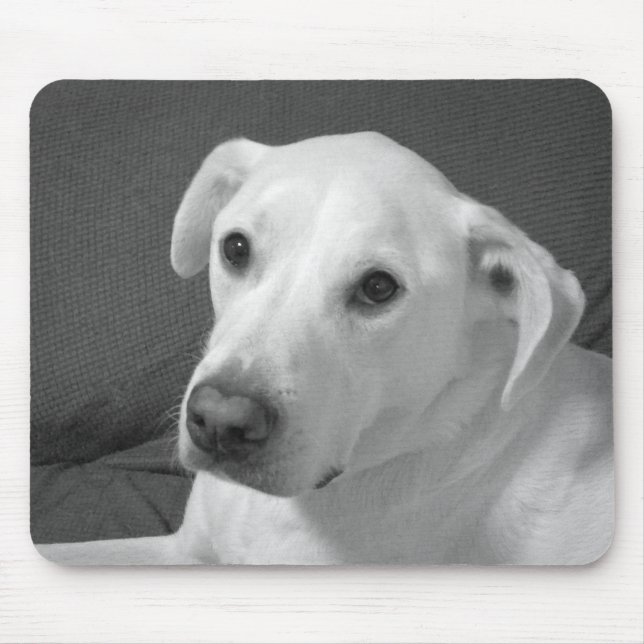 Svart och vitt foto av en vacker, själlös Hund Musmatta (Framsidan)