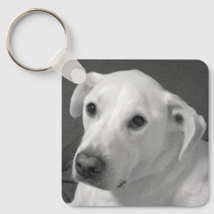 Svart och vitt foto av en vacker, själlös Hund Nyckelring