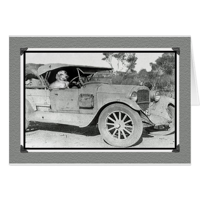 Svart och vitt foto av gammal bil.Körning av Dachs Hälsningskort (Framsidan Horizontal)