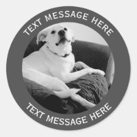 Svart och vitt foto av Hund textmeddelande