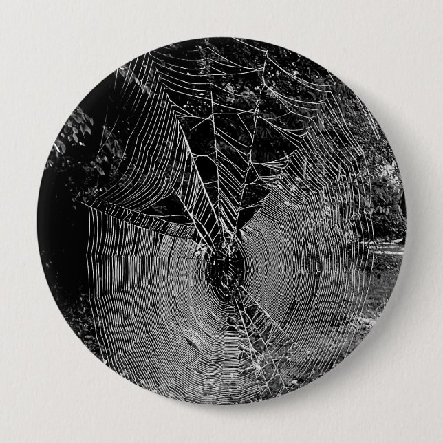Svart och vitt foto av spindelnät knapp (Framsida)