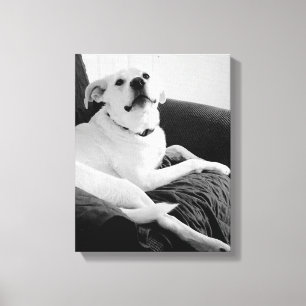 Svart och vitt foto av Talking Hund Skriv ut Canvastryck