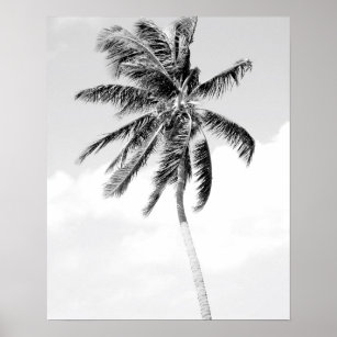 Svart och vitt foto från stranden handflatan träd poster