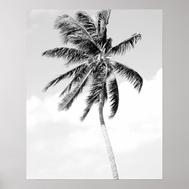 Svart och vitt foto från stranden handflatan träd poster (Framsidan)