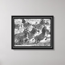 Svart och vitt fotografi Fine Art Zebra