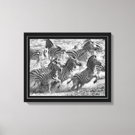 Svart och vitt fotografi Fine Art Zebra Canvastryck