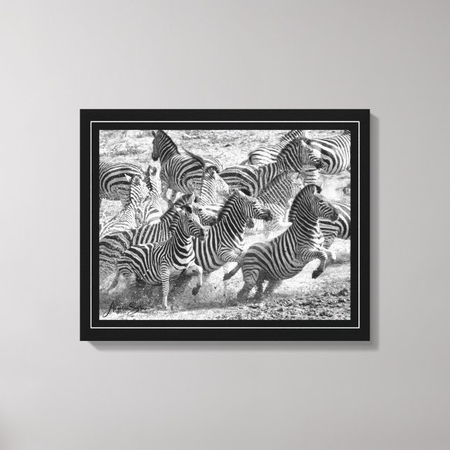 Svart och vitt fotografi Fine Art Zebra Canvastryck (Framsida)