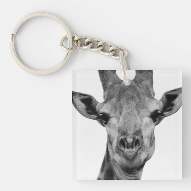 Svart och vitt Giraffeffoto (Framsidan)