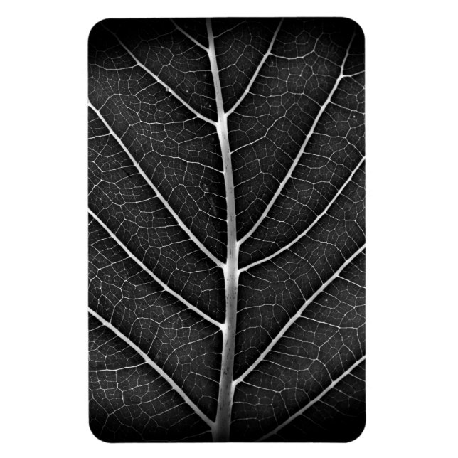 Svart och vitt glödande blad närbild magnet (Vertikal)
