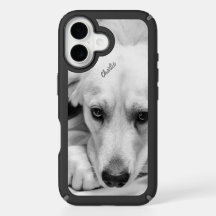 Svart och vitt Hund Photo