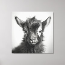 Svart och vitt jute Baby Goat Photo
