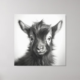 Svart och vitt jute Baby Goat Photo Canvastryck