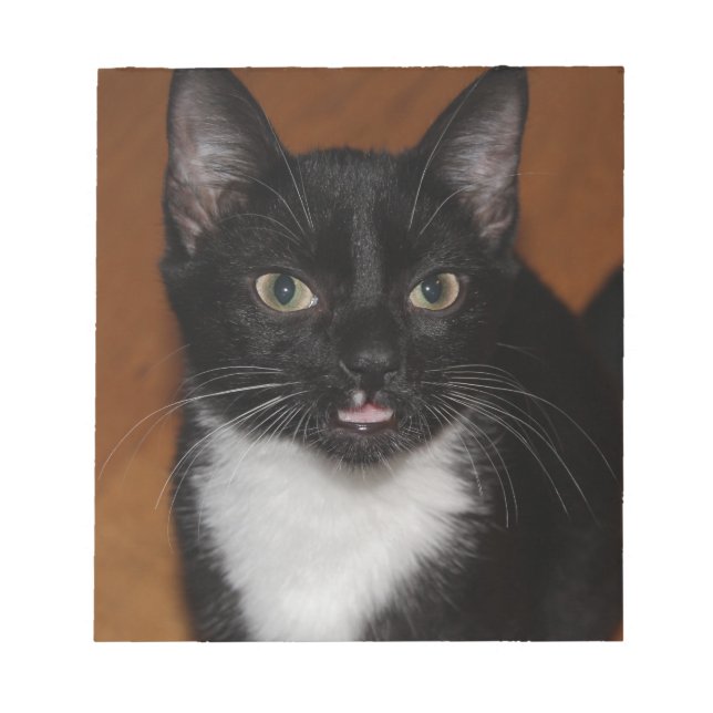 SVART OCH VITT KAT ANTECKNINGSBLOCK (Framsida)