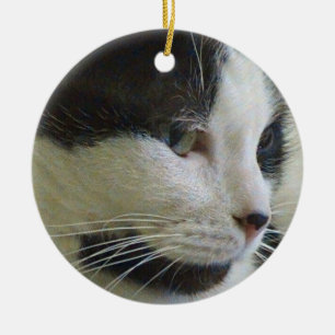Svart och vitt katt på keramiskt ornament
