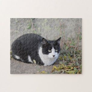 Svart och vitt kattpussel pussel