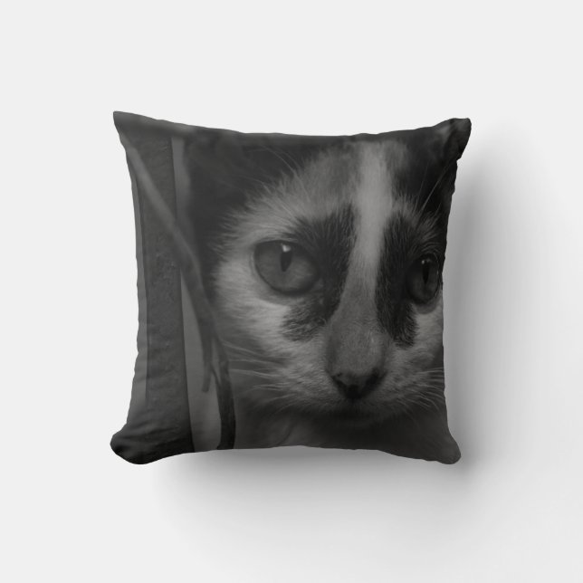 Svart och Vitt - Kattunge 02 Kudde (Framsida)