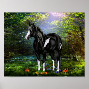 Svart och vitt omo Paint Horse Poster