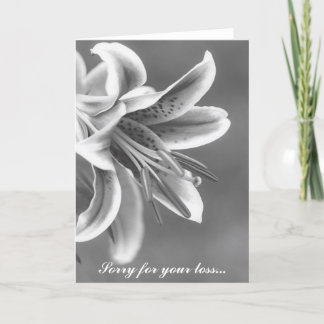 Svart och vitt Star Lillie Sympathy Card Kort