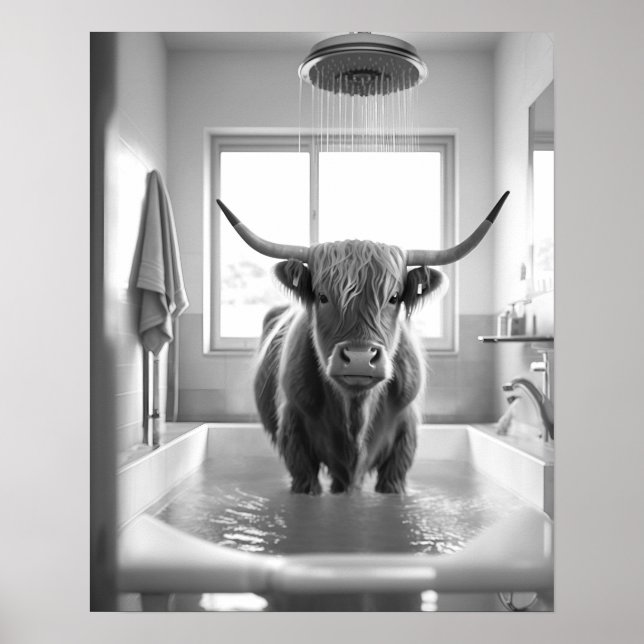 Svart och vitt stötande högland Kow Bathroom Poster (Framsidan)