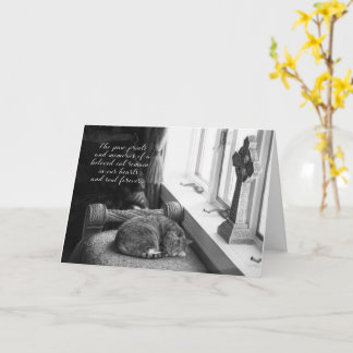 Svart och vitt sympatikort för kattförlust kort