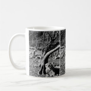 SVART OCH VITT TRÄD KAFFEMUGG