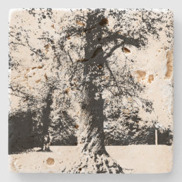 Svart och vitt Träd liggande Stenunderlägg