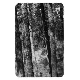 Svart och vitt träd överallt magnet