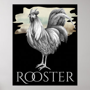 Svart och vitt Tupp-odlingar med dramatiska kyckli Poster