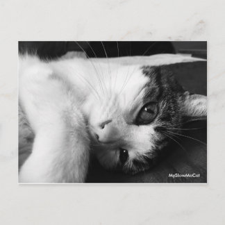 Svart och vitt vykort