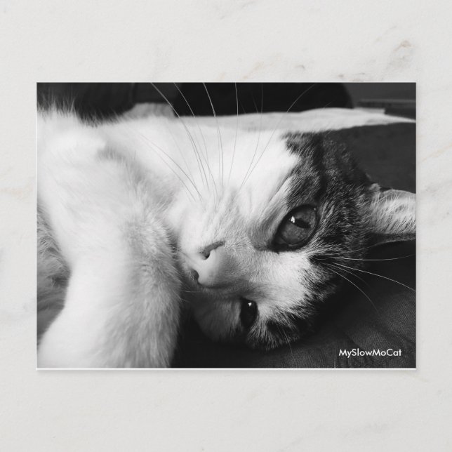 Svart och vitt vykort (Framsida)