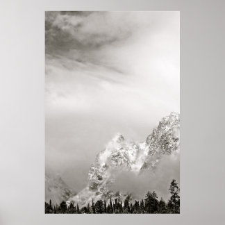 SVART OCH VITVÄRT VINTER LANDSCAPE POSTER