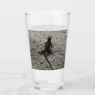 Svart ödla glaskopp