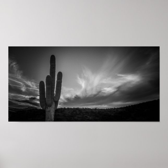 svart öken poster (Framsidan)