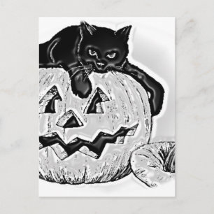Svart Orange Katt Pumpa Halloween Vykort