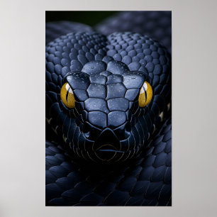 Svart Orm Poster