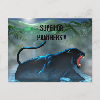 Svart pander, Superior Panthers!! Vykort