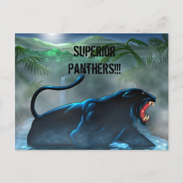 Svart pander, Superior Panthers!! Vykort (Framsida)