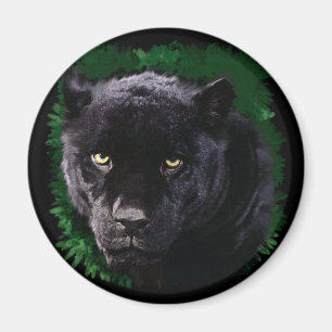 Svart panter magnet