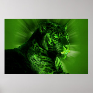 Svart panter på grönt poster