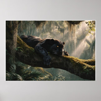 Svart panter som vilar på gren i tät skog | poster