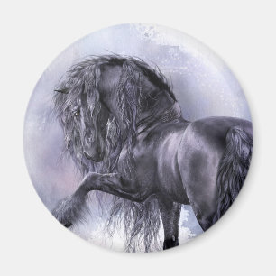 Svart pärlemorfärg magnet