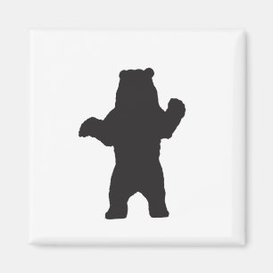 Svart pärlnät magnet