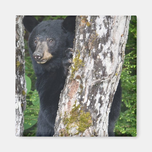 Svart pärlnät magnet (Framsidan)