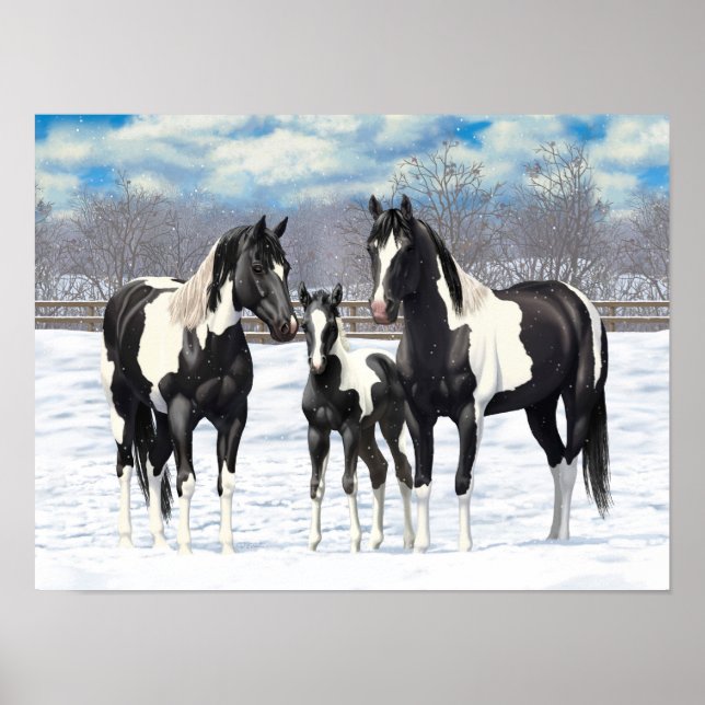 Svart päronhästar i kvartsparter i Snö Poster (Framsidan)